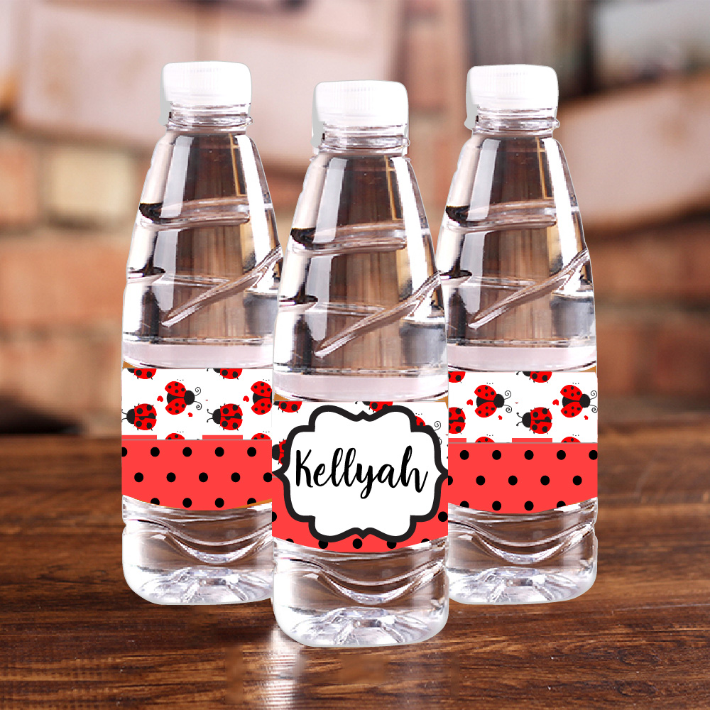 Personalised Ladybug Red Polka - Baby Food Processor recension och pris